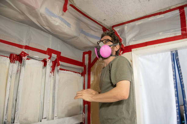 Asbestos and Lead Testing During Mold Inspection in West Fairview, PA